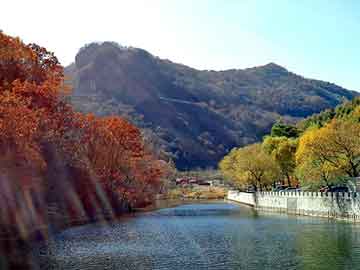 新澳天天开奖资料大全旅游团，泛目录排名